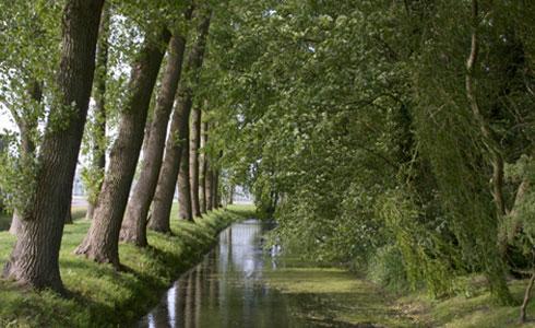 Landhaus Gut Halte Papenburg Kültér fotó